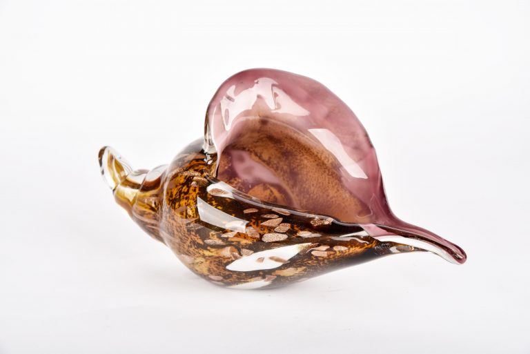 Shell Sea